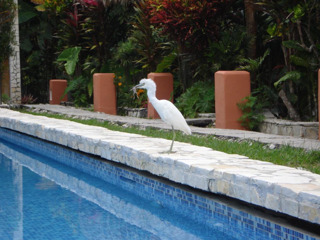 Hotel Jaguar Inn Tikal Exteriör bild