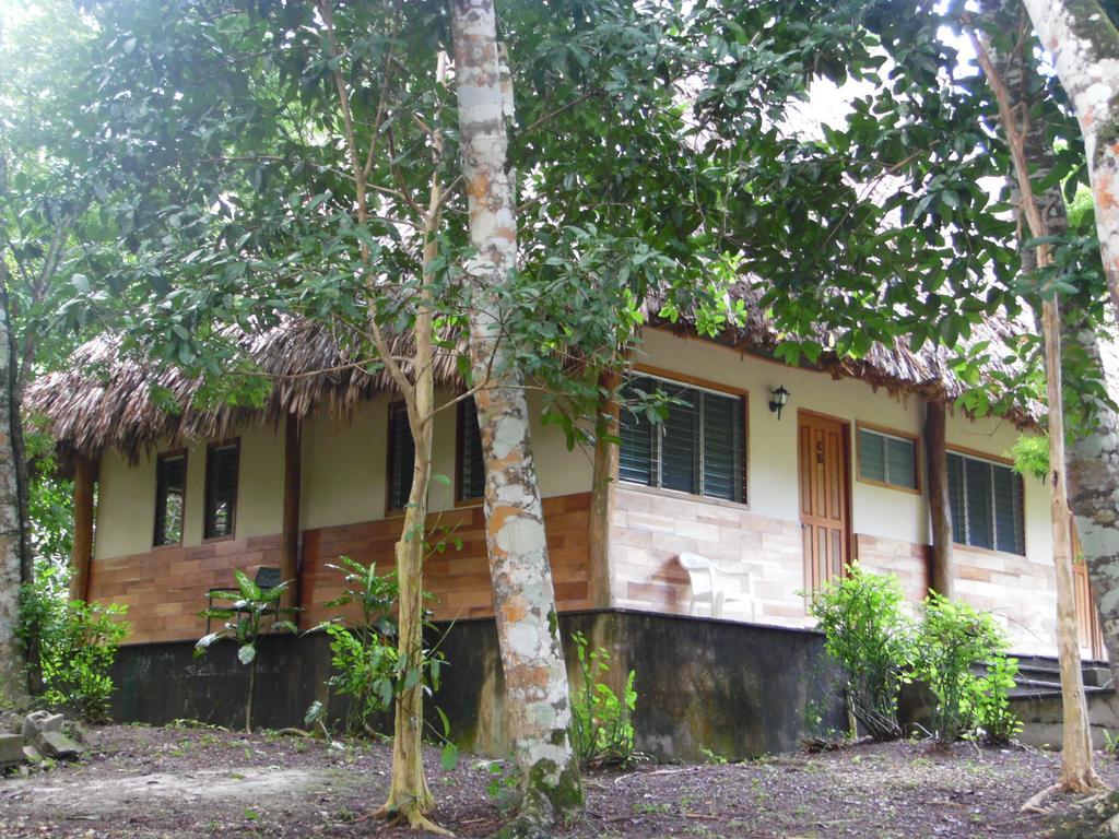 Hotel Jaguar Inn Tikal Rum bild