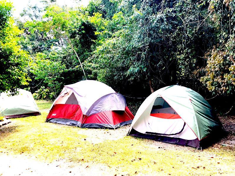 Hotel Jaguar Inn Tikal Exteriör bild