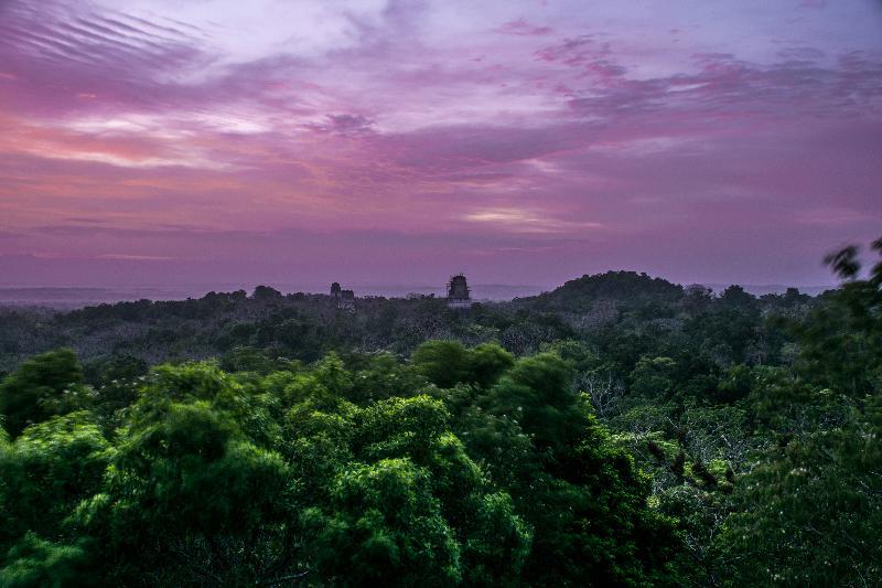 Hotel Jaguar Inn Tikal Exteriör bild